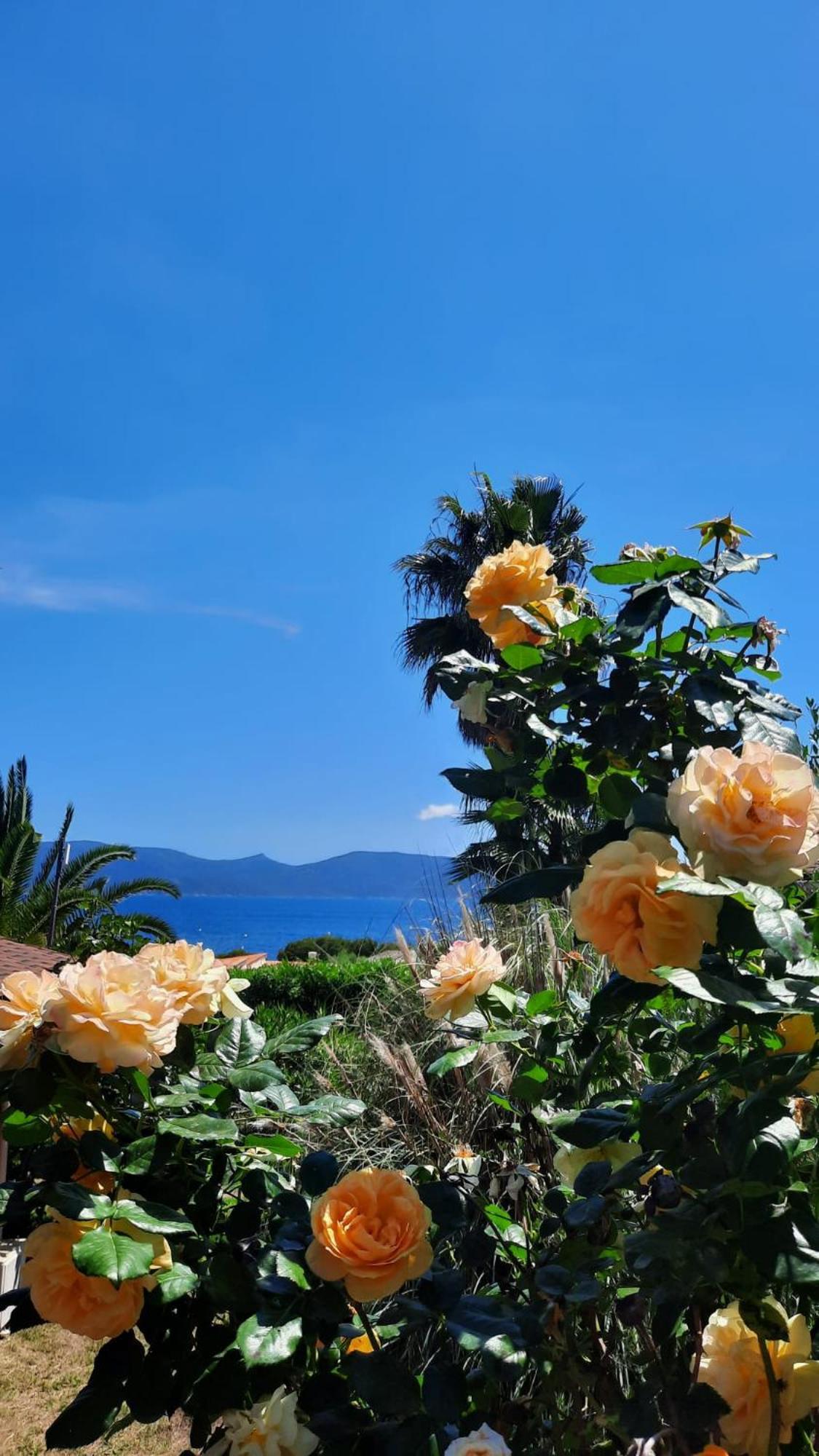 Mare E Monti Hotel ปอร์โต โปลโล ภายนอก รูปภาพ